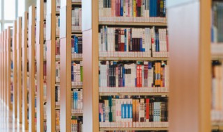 江南逢李龟年的历史典故（江南逢李龟年的解析）