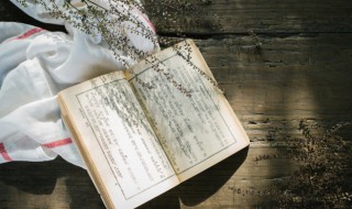 萃组词 萃组词语