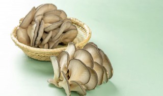 蘑菇怎样保存时间长 蘑菇如何保鲜时间长