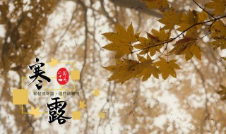 节气寒露是什么意思（寒露节气是啥意思）