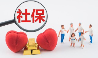 社保ca是（社保ca是什么）