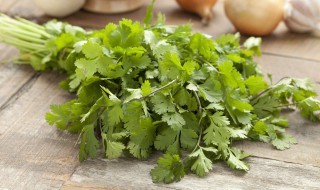 香菜煮水的营养价值 水煮香菜的作用