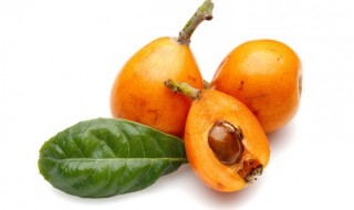 枇杷可以带皮吃吗 枇杷能带皮儿吃吗?