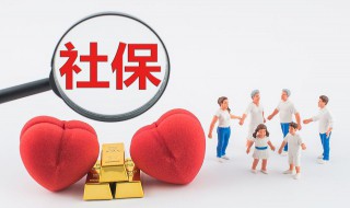 养老保险与社保有什么区别 个人缴纳医保和养老保险与社保有什么区别