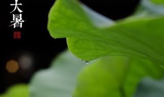 夏天的节气有哪些按顺序排列 夏天的6个节气依次是