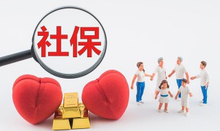 社保查询密码是什么（网上社保查询密码是什么）