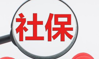 社保转入需要什么手续(社保转移去哪里办)