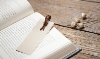 兴奋的拼音（兴奋的拼音字母）