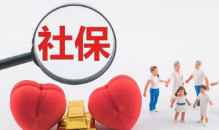 社保每月什么时候交 灵活就业人员社保每月什么时候交