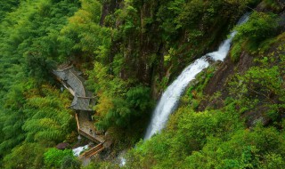 遂昌旅游有哪些比较好的景点啊（遂昌旅游哪个景点好玩）