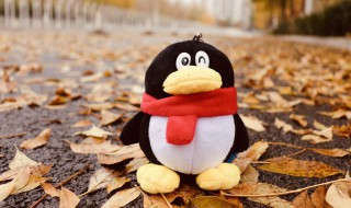 非主流空间名字 非主流空间歌