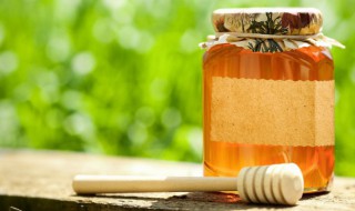 槐花蜜的营养价值 槐花蜜的药用价值