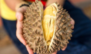 一只榴莲三只鸡什么意思（一个榴莲当3个鸡的说法）