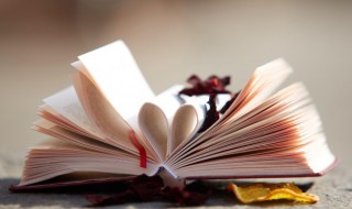 一年级上册组词（一年级上册组词大全）