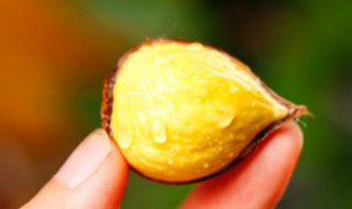 最简单的烤箱烤板栗方法（如何烤箱烤板栗）