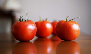 西红柿能和酸奶一起榨汁吗（西红柿汁可以和酸奶一起嘛）