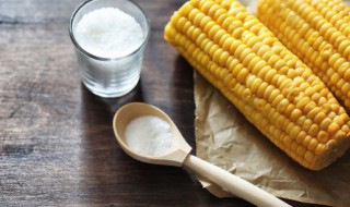 煮熟的玉米粒怎么保存（煮熟的玉米如何保存）