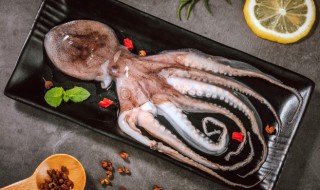 煮熟的章鱼足能冷冻多少天 速冻章鱼足直接煮还是先解冻