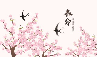 2022年春分的具体精确时辰怎么计算 2022年春分是几月几日