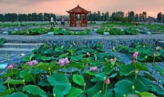 南充一日游必到景点 南充一日游必到景点夏天凉快