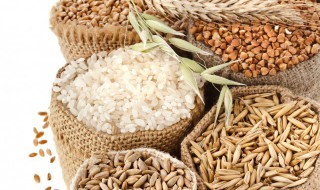 五谷杂粮如何榨汁 五谷杂粮怎么榨汁