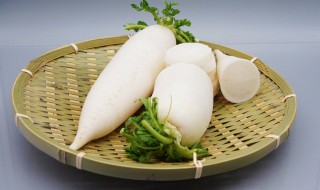 香菇能和白萝卜一起吃吗（白萝卜可以和香菇一起吃吗?）