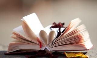 柏组词有哪些（柏组词有哪些呢）