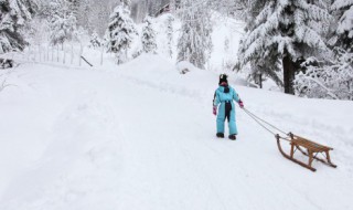 哈尔滨到雪乡旅游攻略（哈尔滨雪乡旅行攻略）