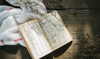 月出皎兮佼人僚兮是什么意思 月出皎兮,佼人僚兮