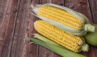 梦见很多玉米棒是什么意思（梦到很多玉米棒）