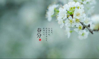 2022年春分节气各个时辰吉凶分析（2022年春节什么节气）