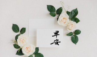 早安微商朋友圈励志说说2022（做微商朋友圈早安语录）