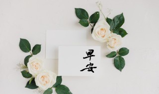 早安励志语录正能量短句 早安正能量励志经典语录短句