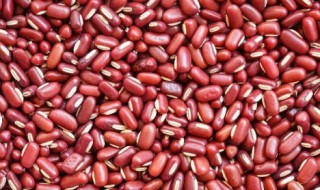 赤小豆不能和什么一起吃 薏米赤小豆不能和什么一起吃