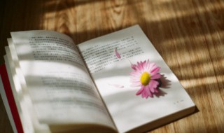 世事难违什么意思（世事难料 事与愿违）