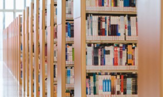 海底两万里中心主旨（海底两万里中心主旨100字）