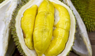榴莲怎么冷冻（榴莲怎么冷冻保存时间长）
