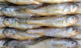 冰冻小黄鱼怎么清理 冰冻大黄鱼怎么清理