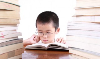 力的拼音（力的拼音怎么写的拼）