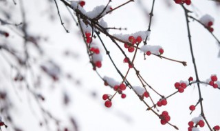 古人对雪的雅称 古人对雪的雅称诗词