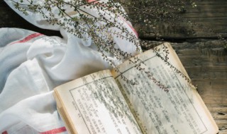 孙权三国演义评价（三国对孙权的评价）