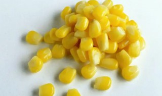 干玉米粒要煮多久才熟（干玉米粒煮多久可以煮熟）