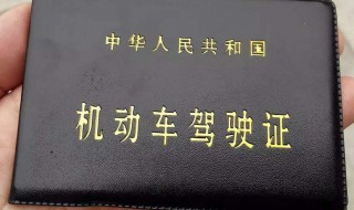 怎么可以查驾驶证的分 怎样能查出驾驶证的分