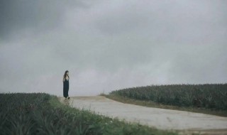 谁有尘埃落定好词佳句 《尘埃落定》好词好句好段摘抄大全