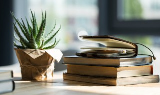 中国朝代最长的是哪个朝代（中国哪一个朝代最长）