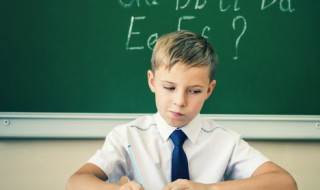 铁树开出太阳花什么意思（铁树开出太阳花是什么意思）