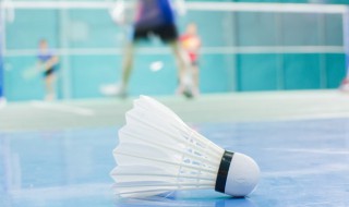 打羽毛球如何保护手腕 打羽毛球怎么保护手腕