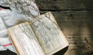 隋唐演义的作者是谁哪个朝代的（隋唐演义是什么朝代）