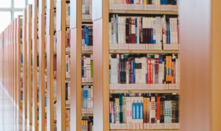 有风使尽帆是什么意思（有风使尽帆）