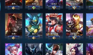 三国无双8怎么让队友跟随（三国无双8怎么带兵）